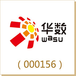 華數(shù)傳媒（000156）